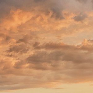 Meet your Posher, Steph